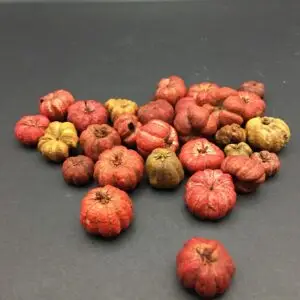 Puktka Seed Mini Pumpkins